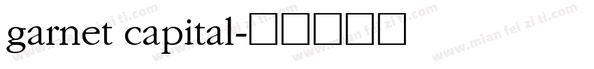 garnet capital字体转换